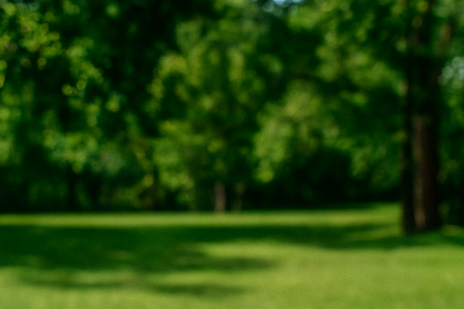 Departamento de Riesgo y desastre